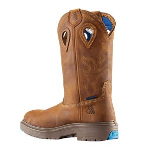 Steel Blue Blue Heeler